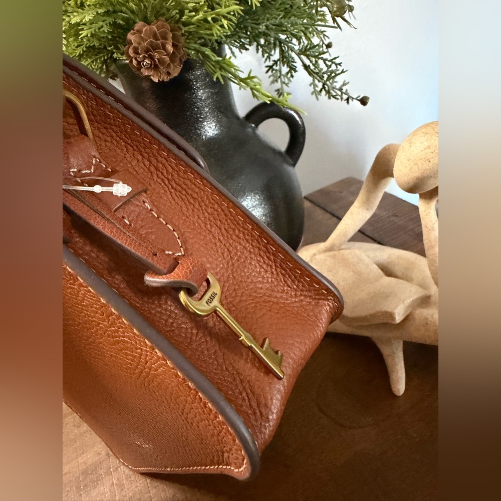 Fossil Ainsley Crossbody Bag (NWT) - Picture 5 of 13